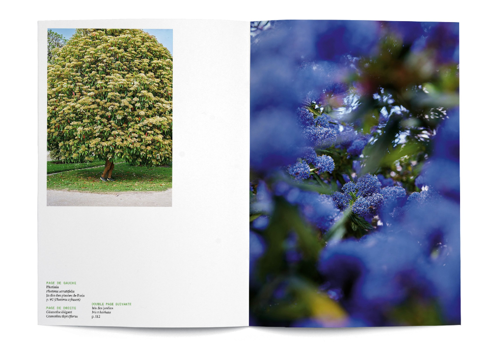 Sergi “Karşılaşmanın Meyveleri” Institut français Türkiye - İstanbul giriş kat sergi salonunda